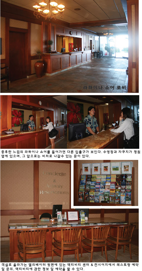 전망좋은 라하이나 쇼어스 비치 리조트 호텔 (마우이 섬) - 마이하와이