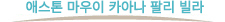 애스톤 마우이 카아나 팔리 빌라
