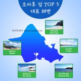 금주 하와이 취재