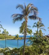 最新ハワイ取材記事 その12