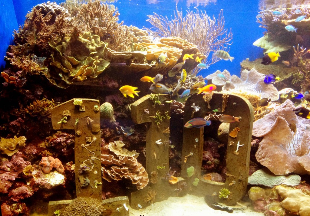 waikiki aquarium