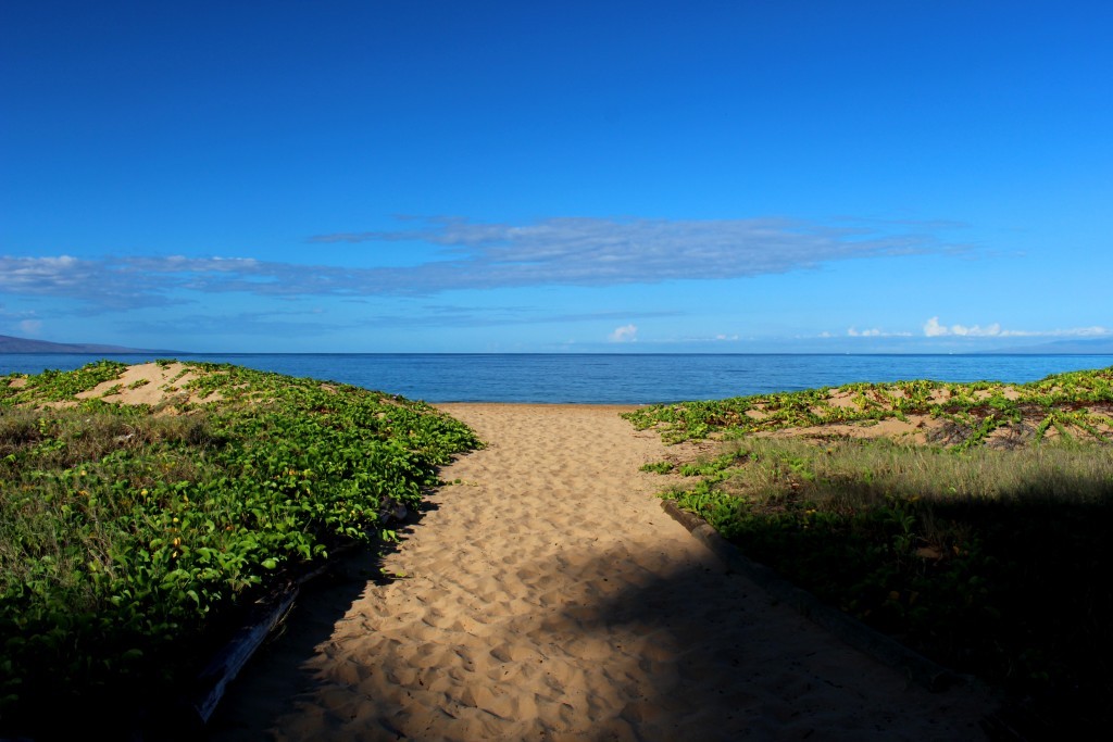 kamaole_beach