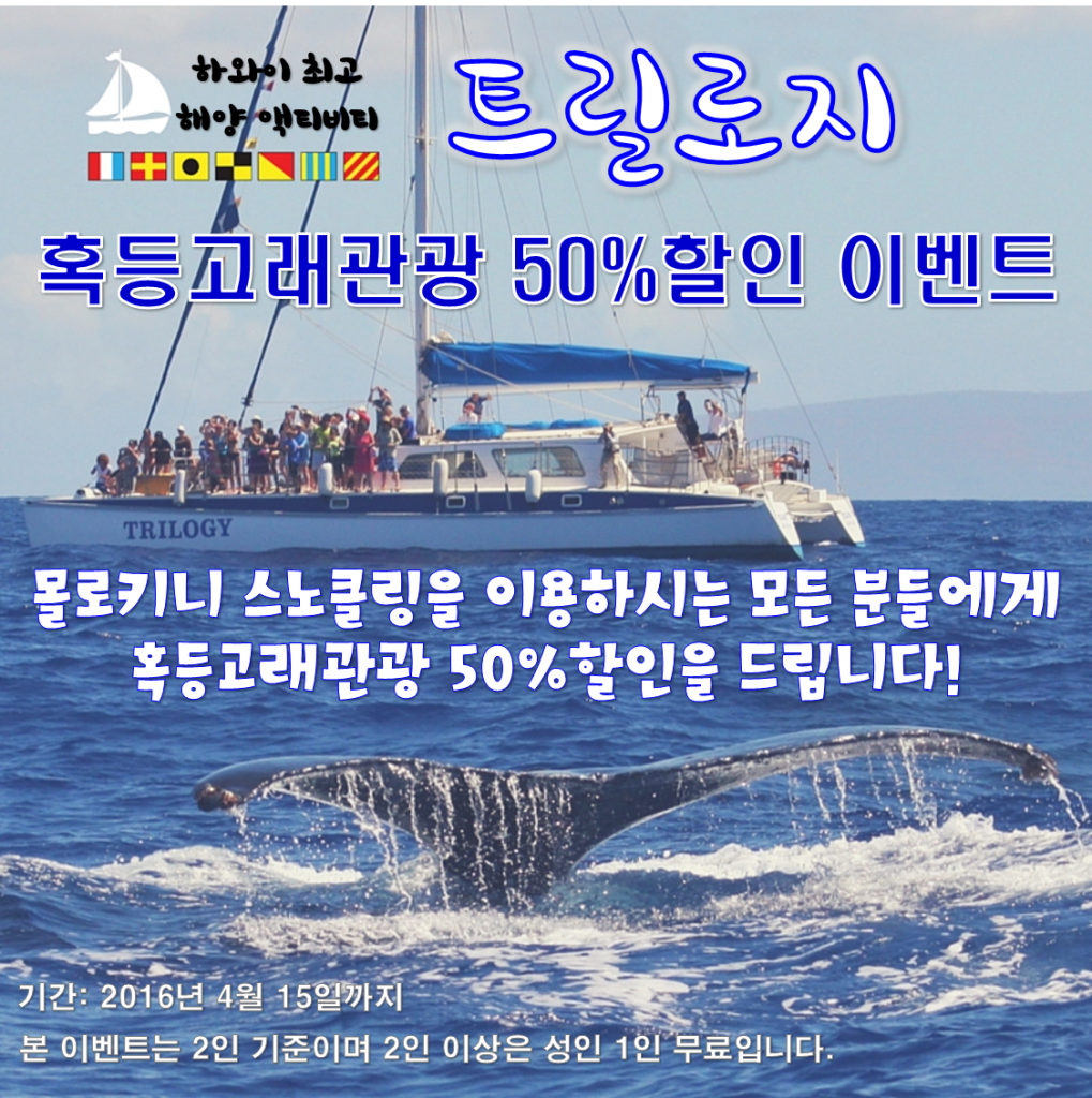 혹등고래관광 50%할인
